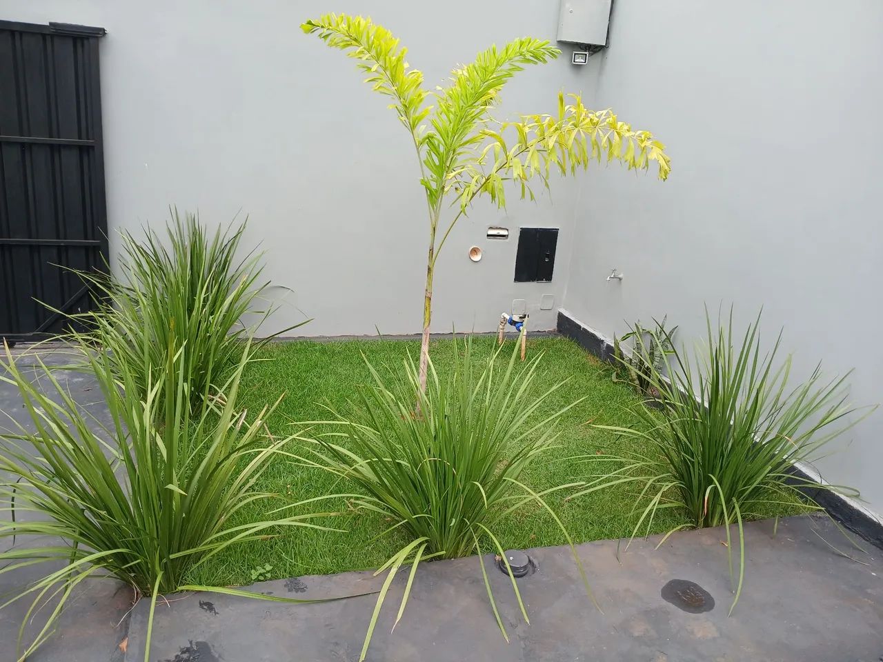 Edícula com piscina - Foto 2