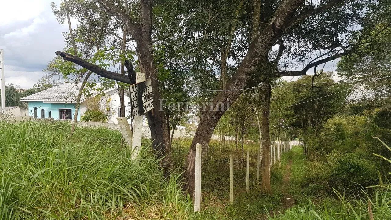 Terreno em Colombo - Foto 5