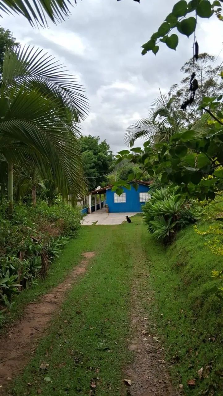 Aluga se chácara na cidade de socorro  - Foto 5