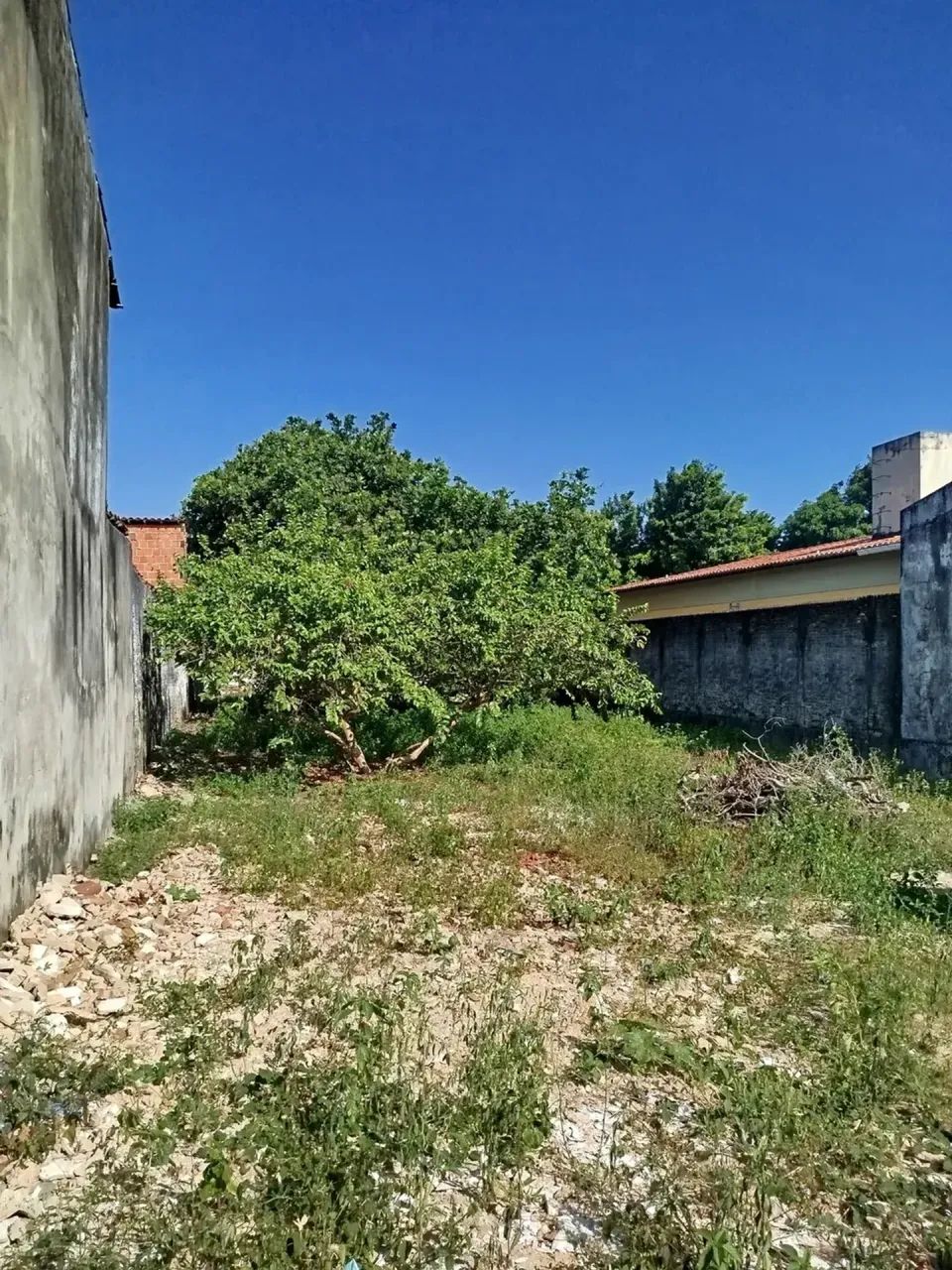 TERRENO A VENDA NO JÓQUEI CLUBE - Foto 5