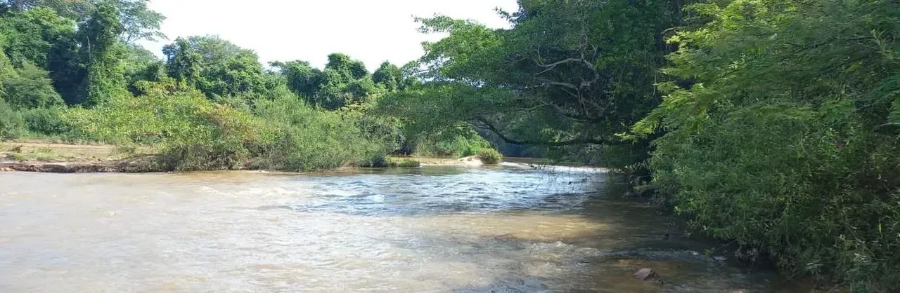 Fazenda a venda entre Catalão e Ipameri - Goiás!!! - Foto 5