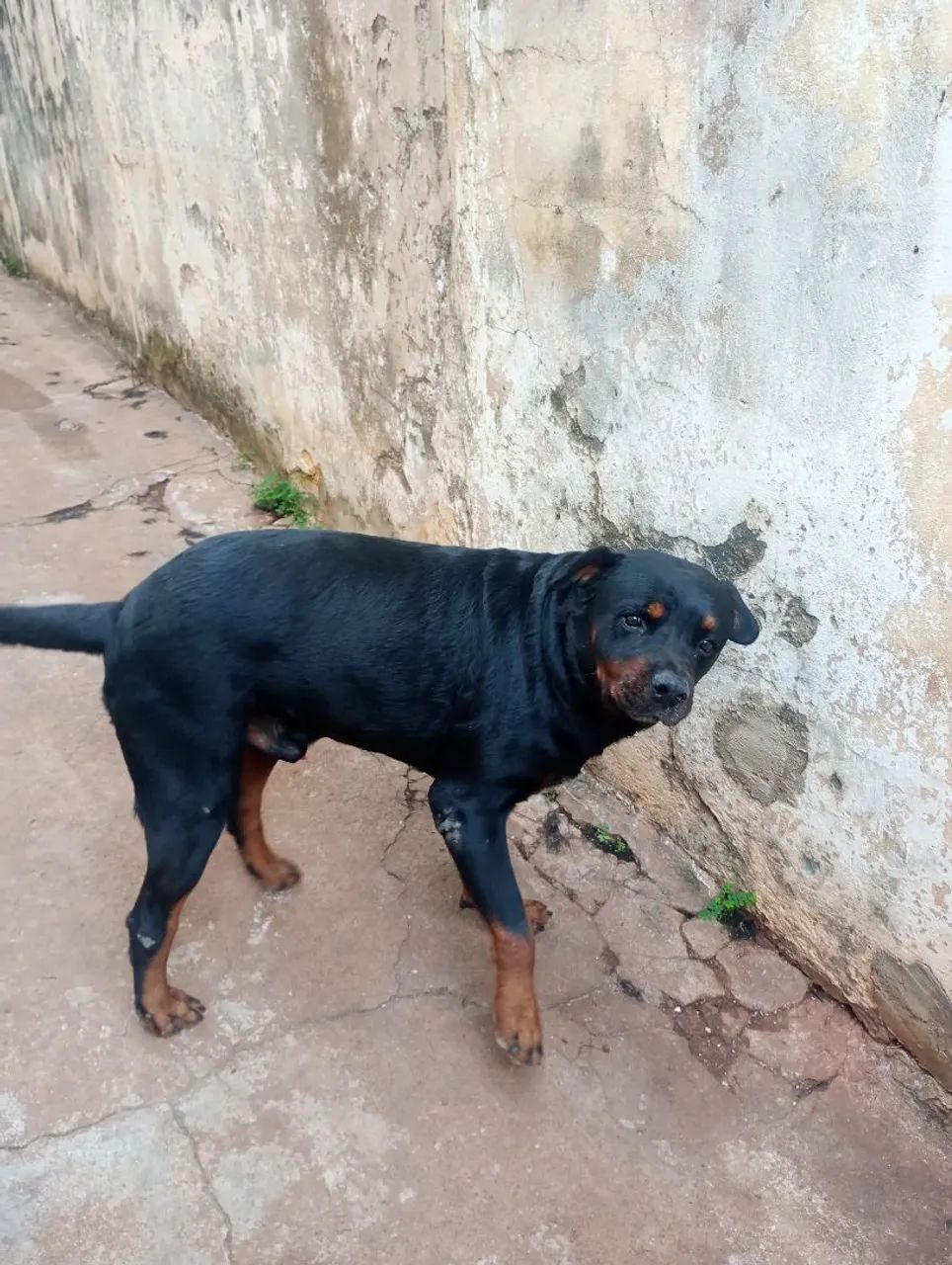Caos pra segurança