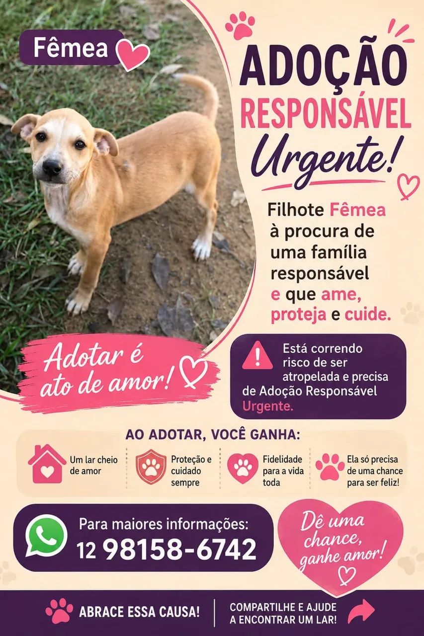 Adoção responsável urgente?