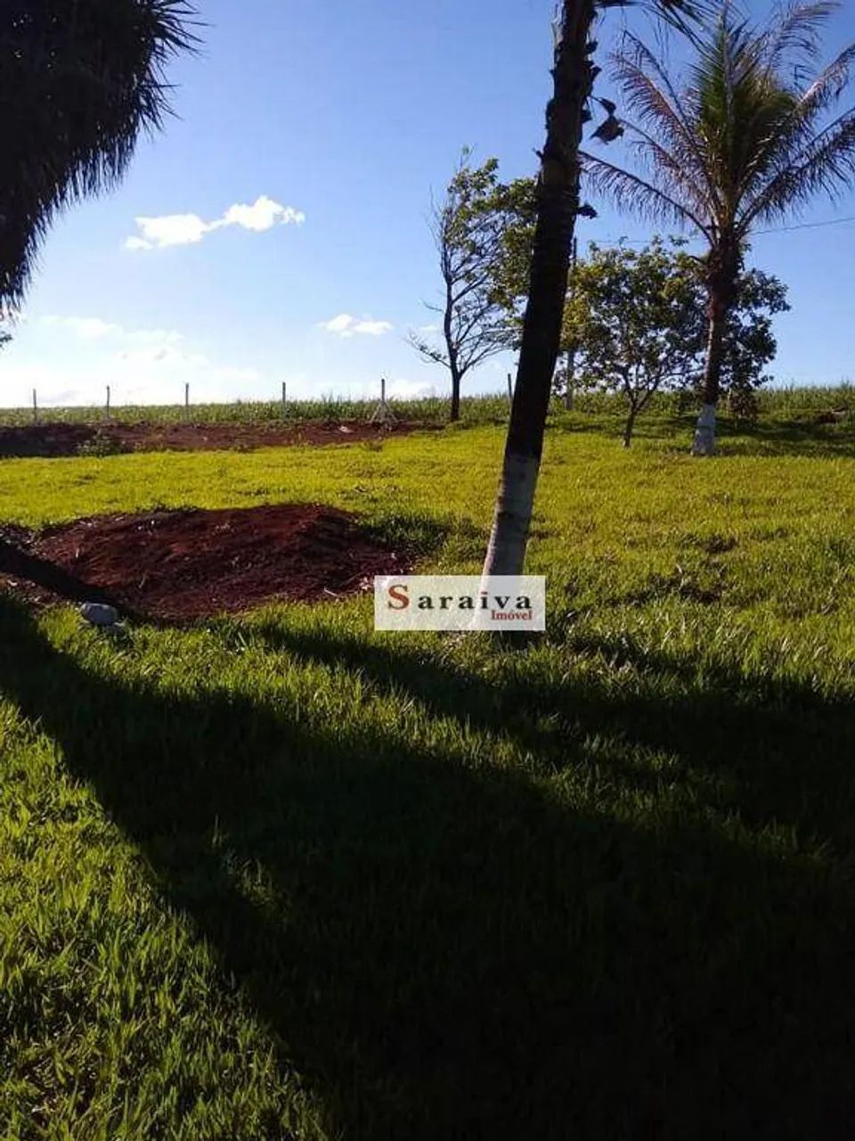 Chácara com 3 dormitórios à venda, 24000 m² por R$ 575.000,00 - Rodovia - Itapuí/SP - Foto 5