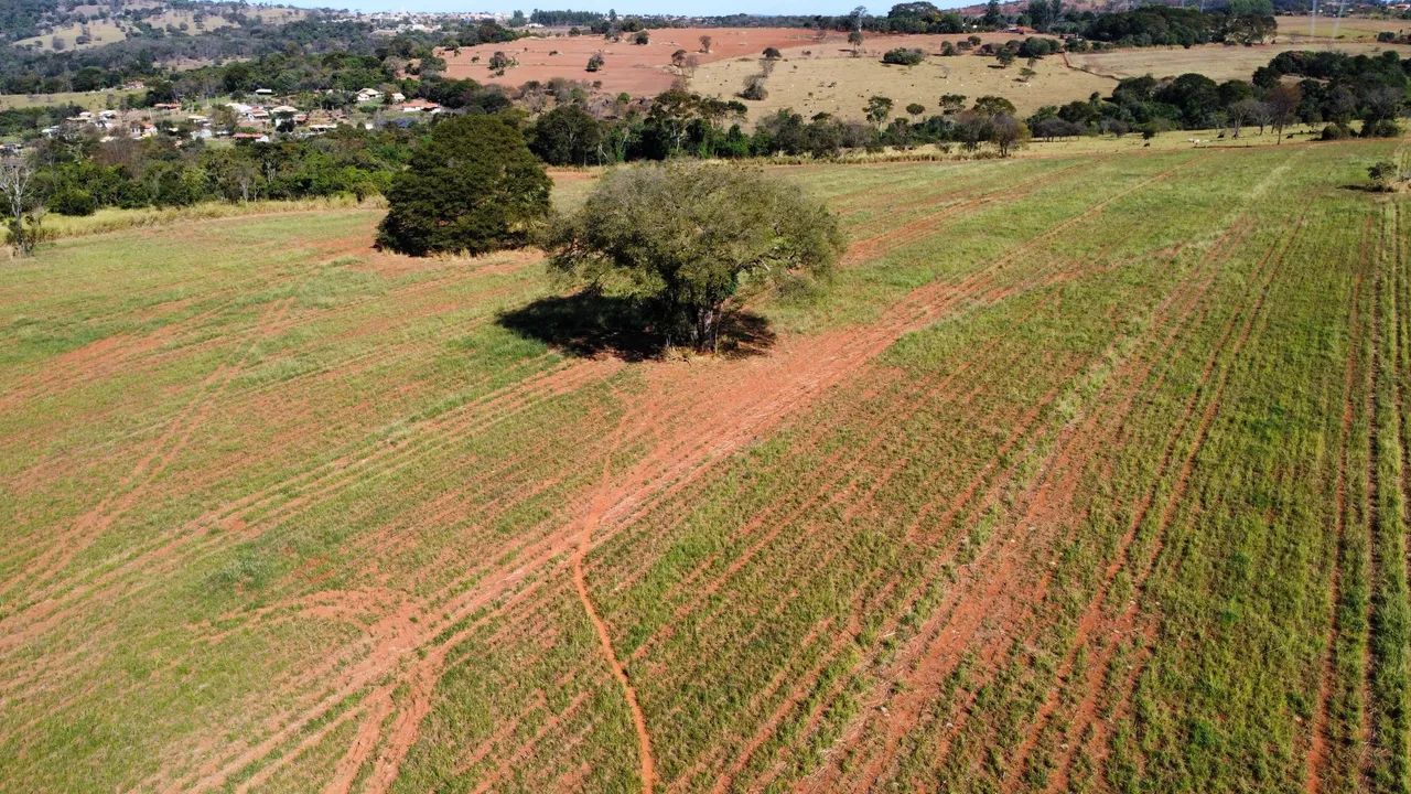 Sítio 7.3 Alqueires a 32 km de Goiânia  - Foto 3