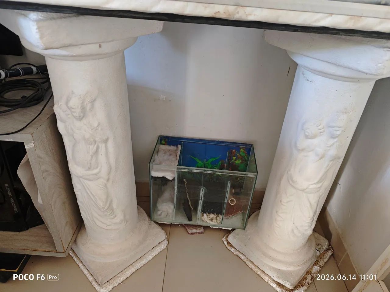 Vendo Aquário  - Foto 4