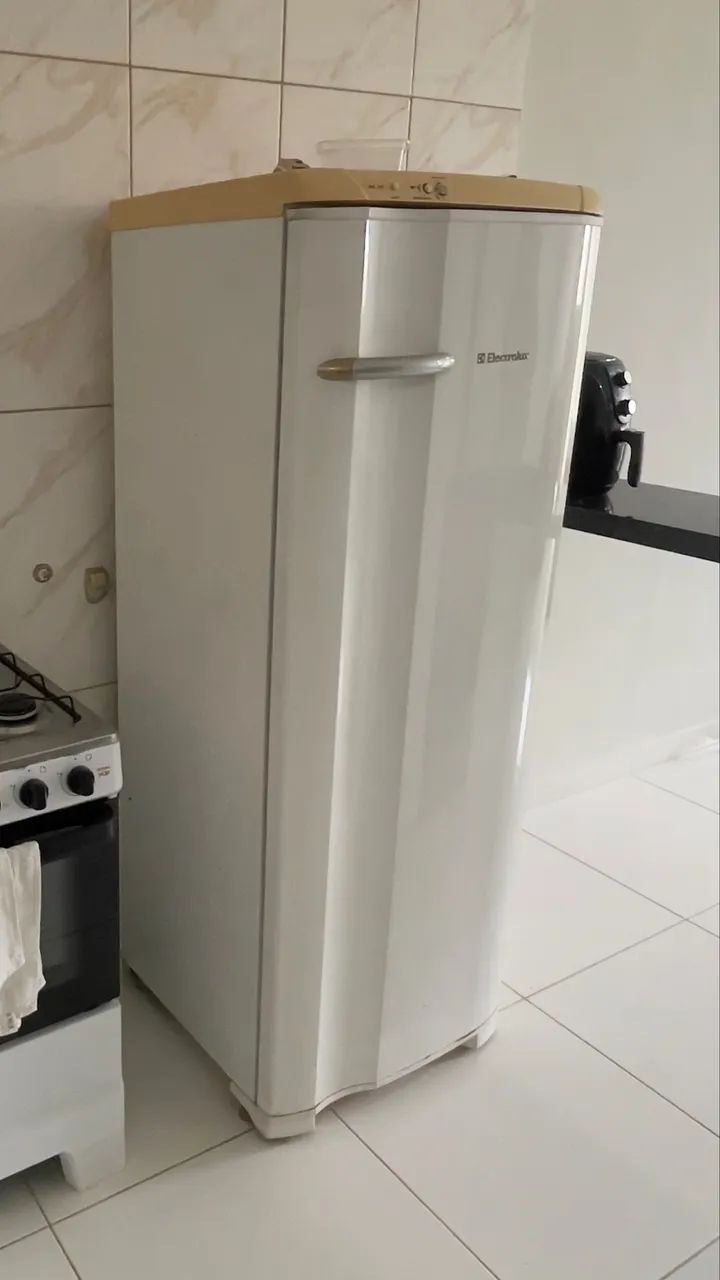 Geladeira 350 ltrs