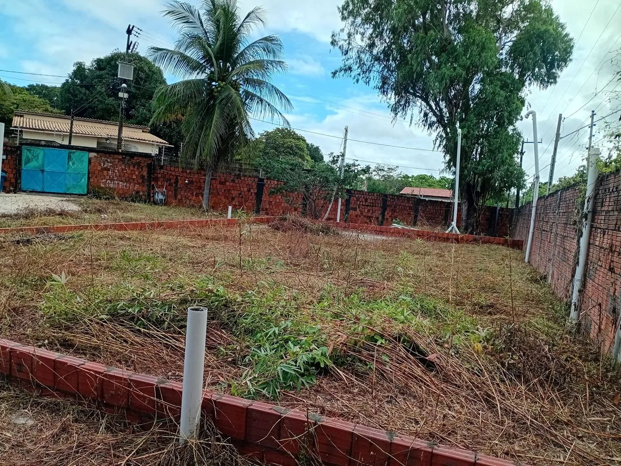 Foto - Eusébio - Pires Façanha