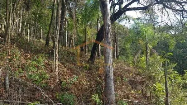 TERRENO À VENDA - Mato Dentro. 1.134 m². - Foto 2