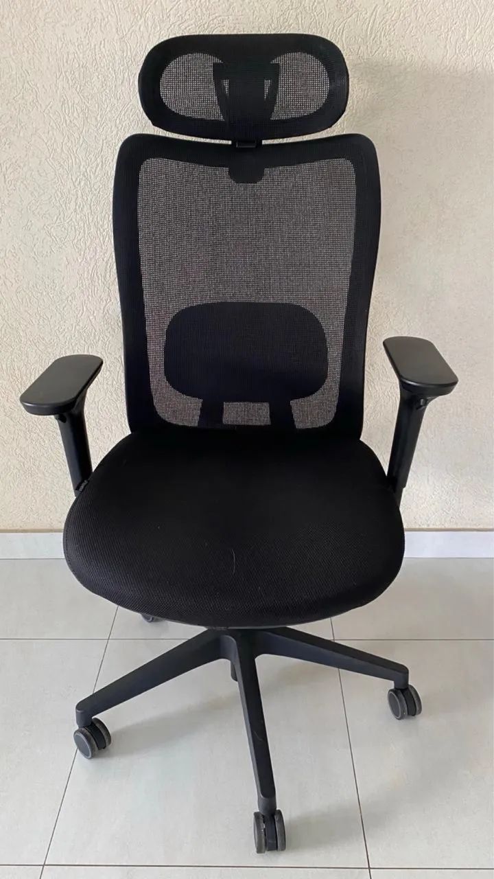 Cadeira Ergonômica Elements Astra Pro 