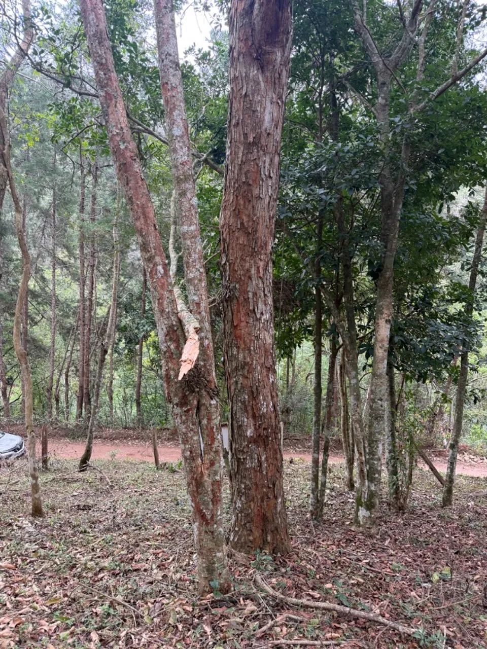 Terreno no coração do Vale das Videiras 2.000 m2 - Foto 2