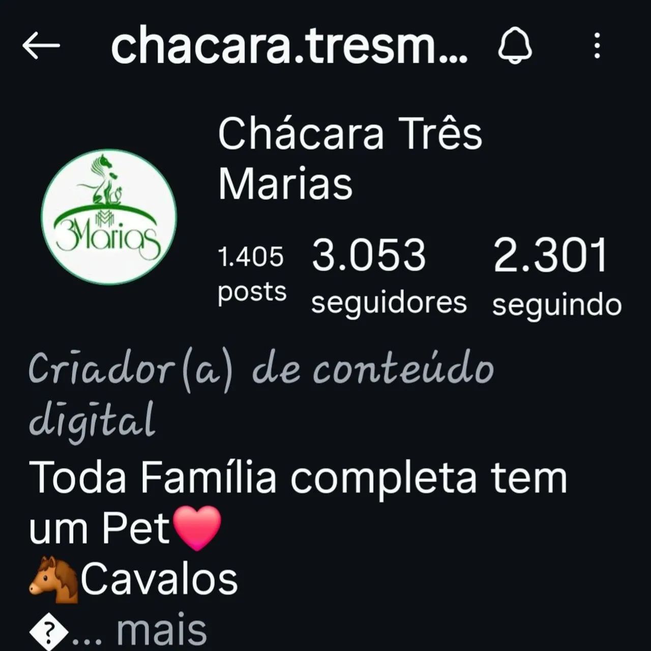 Égua Mangalarga Marchador jovem, registrada. Aceito cartão e pix  - Foto 6