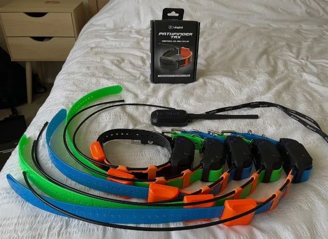 Colar GPS para caes Dogtra Pathfinder NOVO