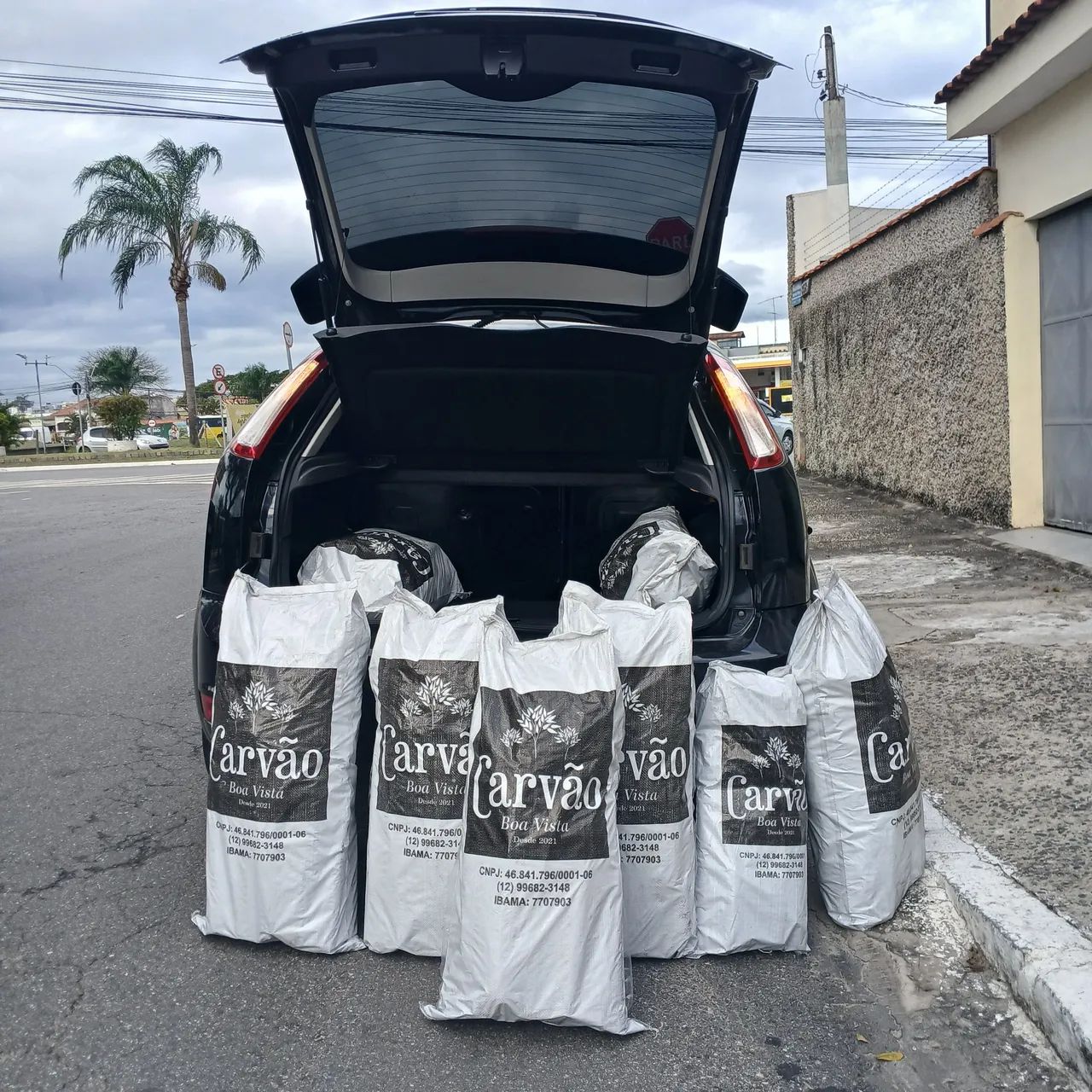 Carvão e Lenha