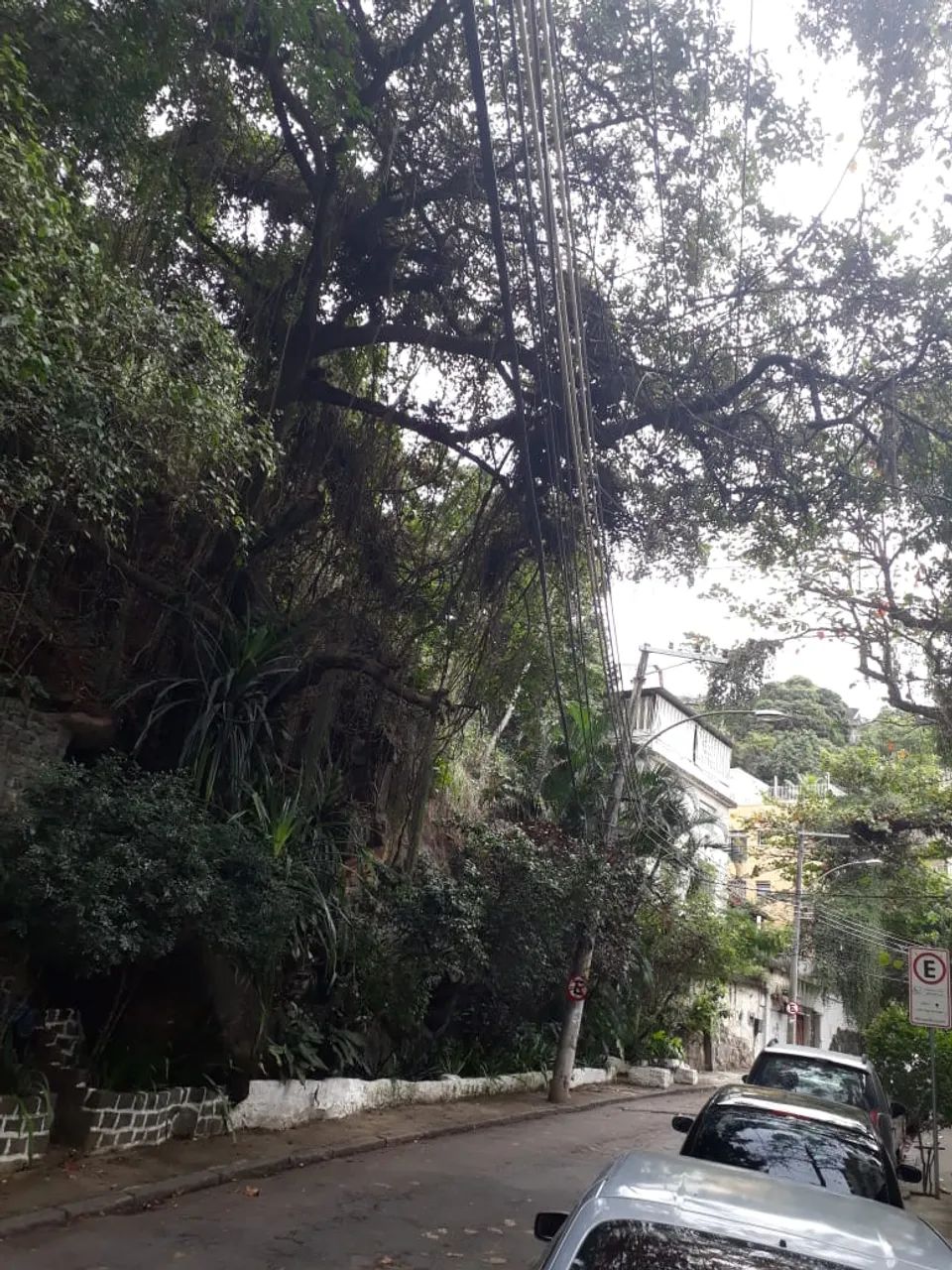 Lote 13 e 14/Terreno para venda com 1500 metros quadrados em Santa Teresa - Rio de Janeiro
