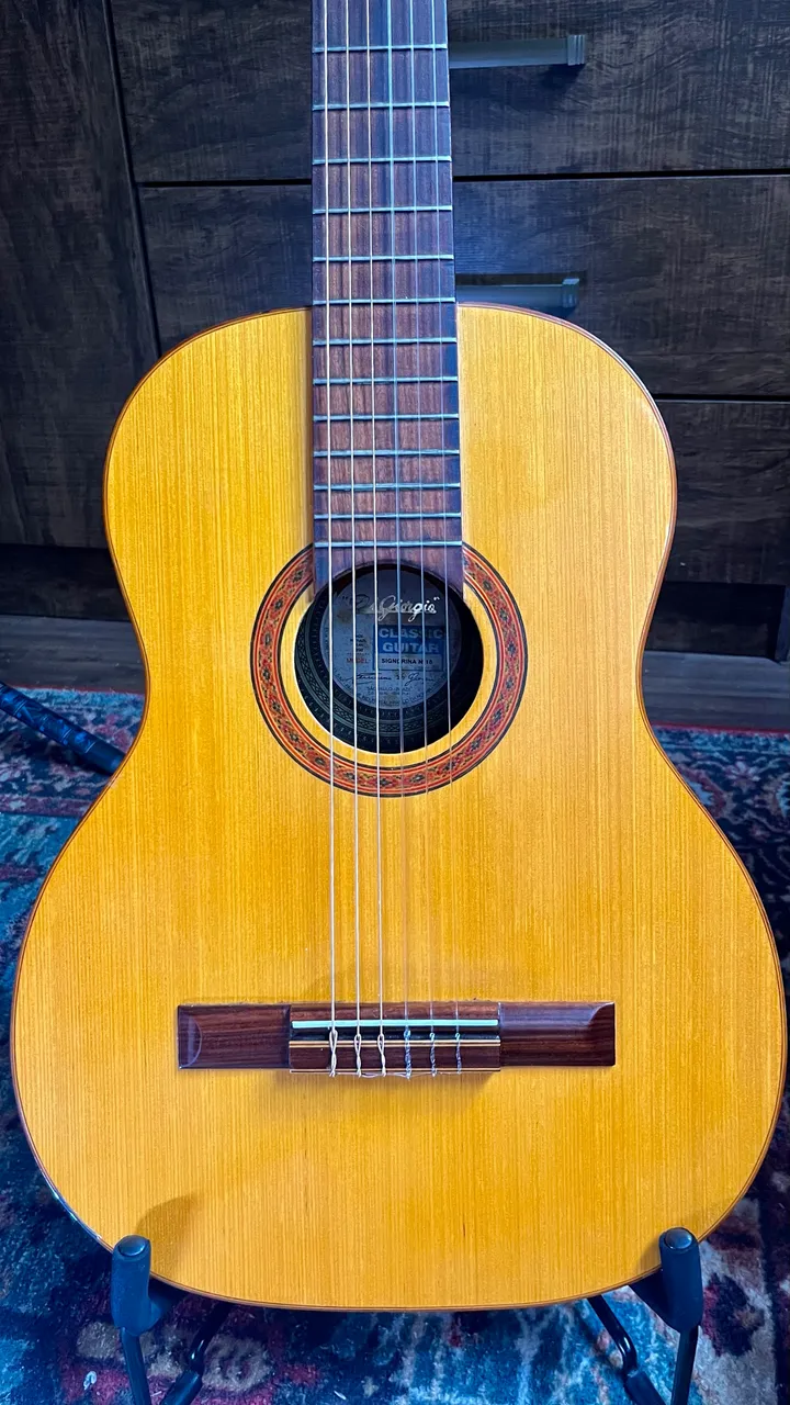 Fender Sonoran SCE Thinline - Instrumentos musicais - Itacolomi