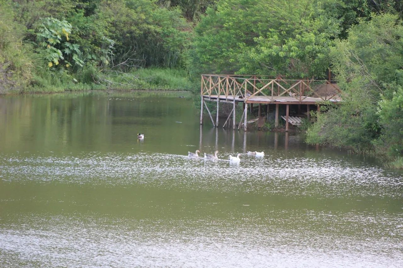 Lote em Gravatá  - Foto 3