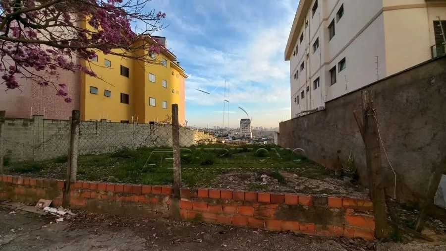 TERRENO CAMPOLIM - Foto 3