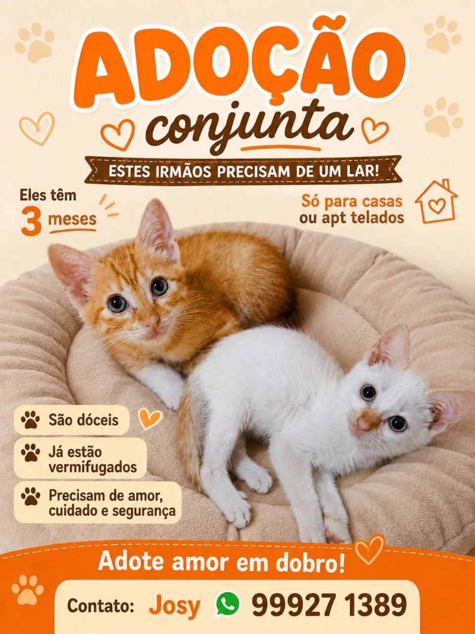 PAÇOCA E ALGODÃO 