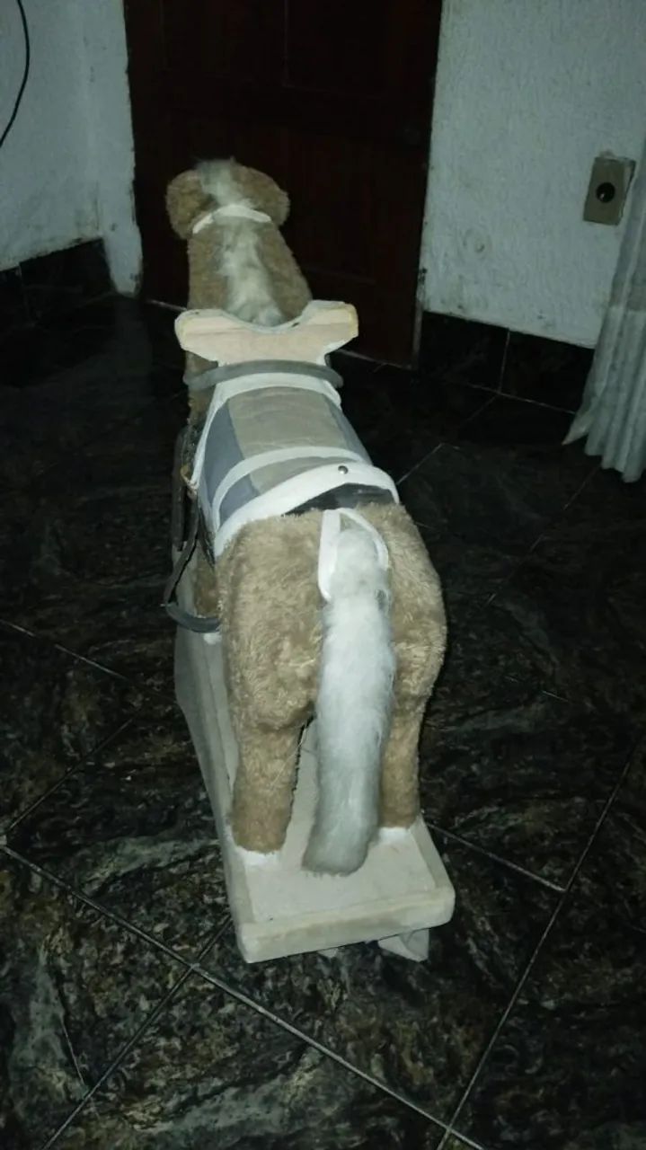 Cavalinho de Madeira - Foto 2