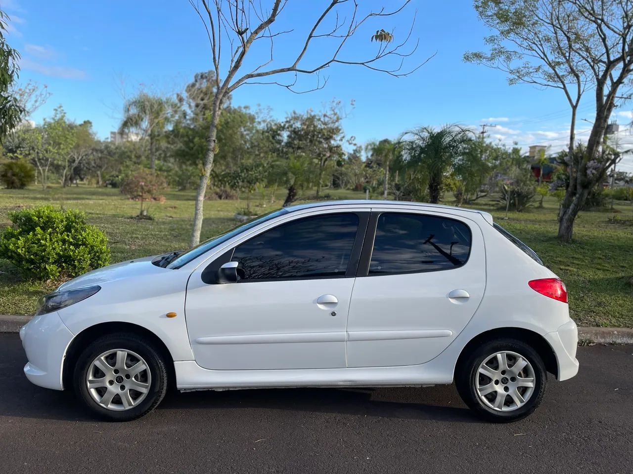 Peugeot 207 ACTIVE 1.4 FLEX 8V 5P 2015