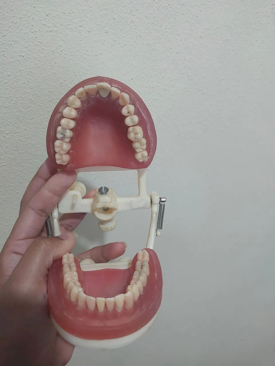 Manequim Dentística PRONEW  - Foto 4