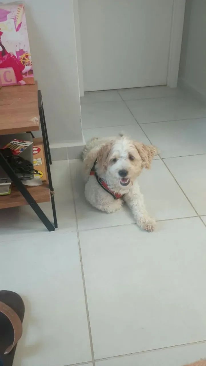 Doação 