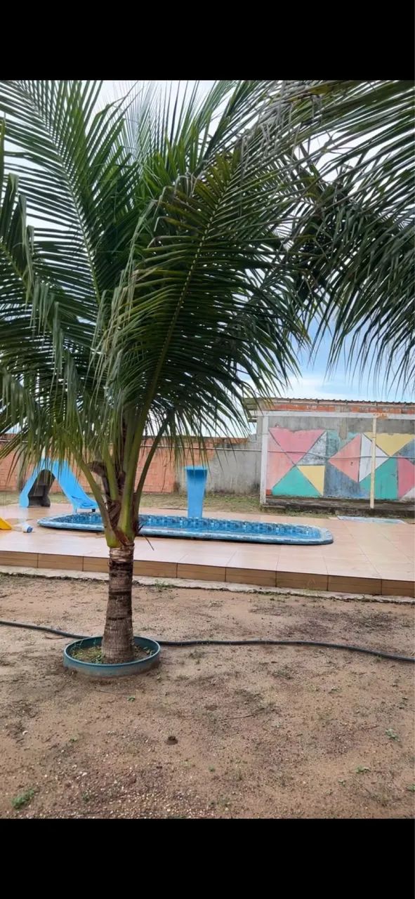 Vende-se chácara no Iranduba  - Foto 3