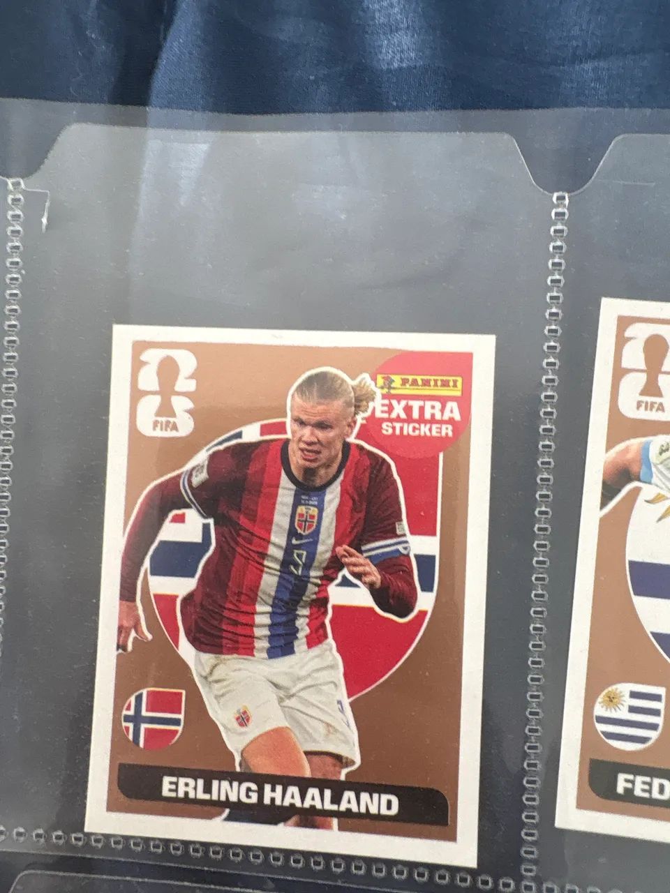 Einling Haaland bronze legend 2026 - Foto 2