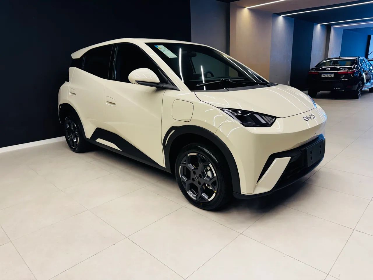 BYD Dolphin Mini (Elétrico) 2027 - Foto 2