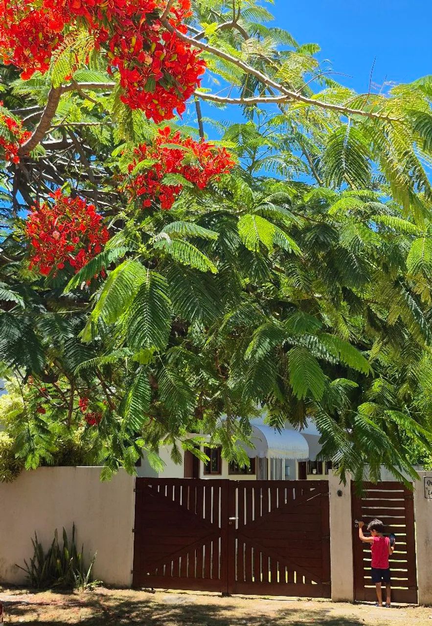 Linha verde - piscina com hidro a 5 min da praia - Foto 12