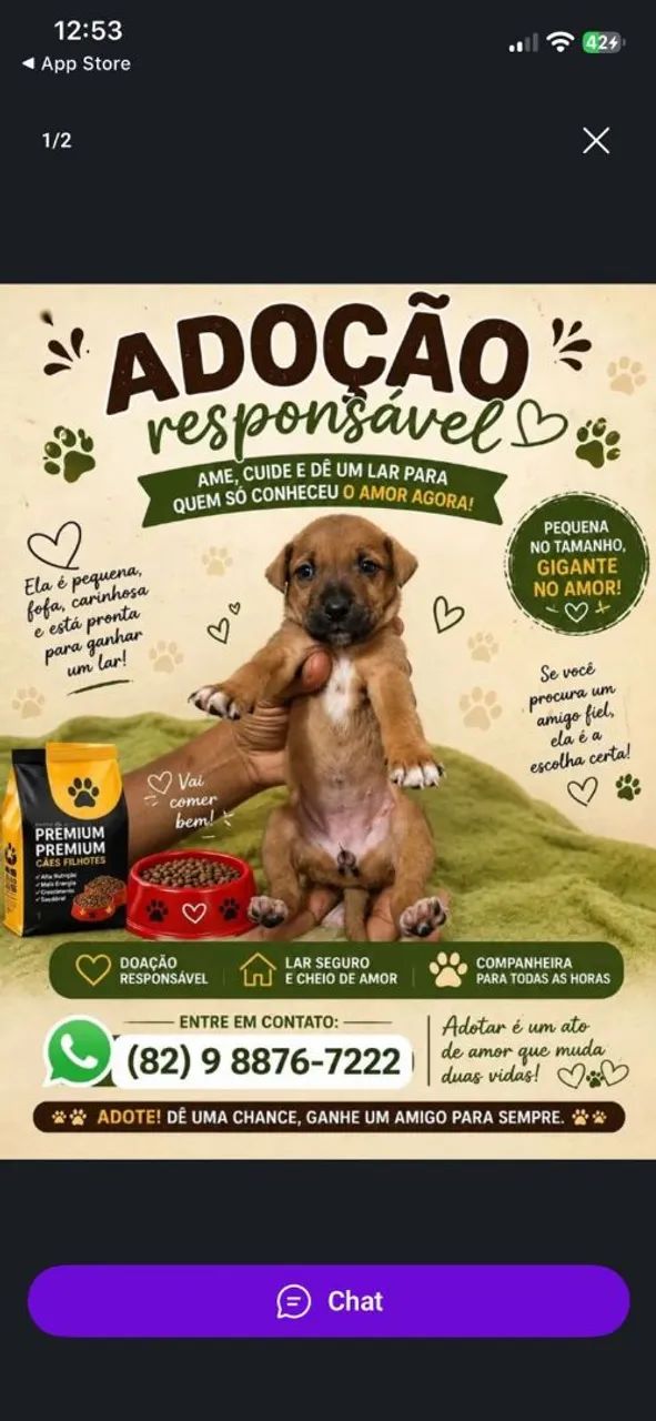 Doa-se cachorra fêmea de 3 meses