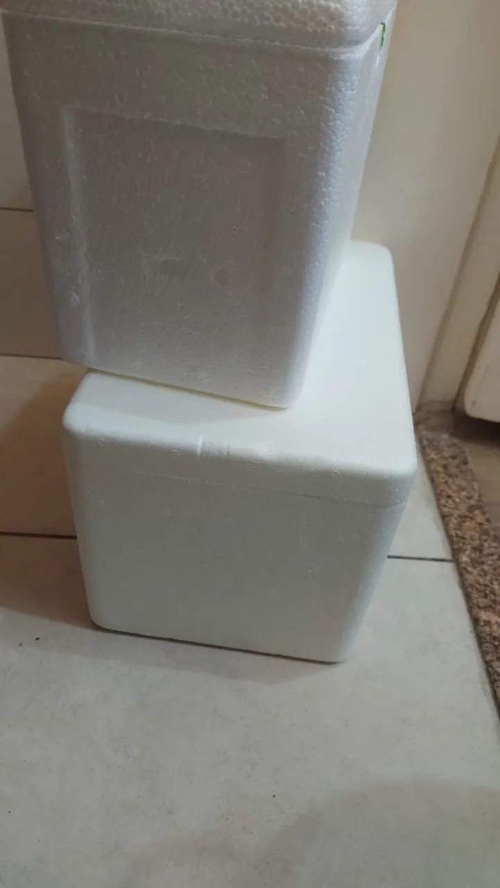 Kit (7 caixas térmicas): Uma de 9L e Seis de 6L - Foto 4