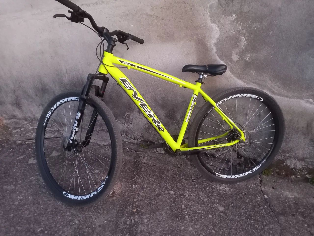 Bike Ever Big 29"