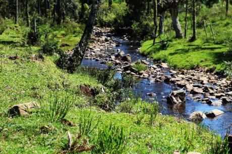Urubici Sitio com 4 hectares frente para o Rio - Foto 4