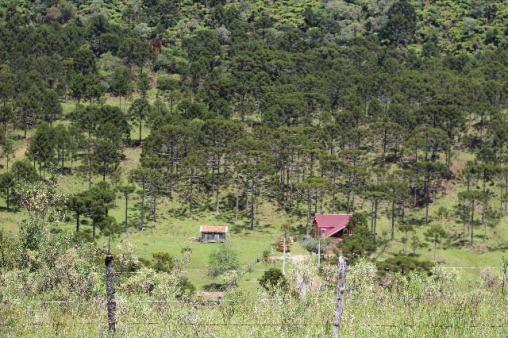 Urubici Sitio com 4 hectares frente para o Rio - Foto 18