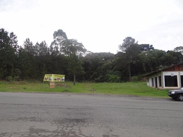 Terreno comercial plano na Ferraria - Campo Largo - Foto 12