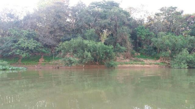 Vendo uma chácara de 2 hectares em barão, nas margem do pantanal! - Foto 5