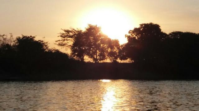 Vendo uma chácara de 2 hectares em barão, nas margem do pantanal! - Foto 8