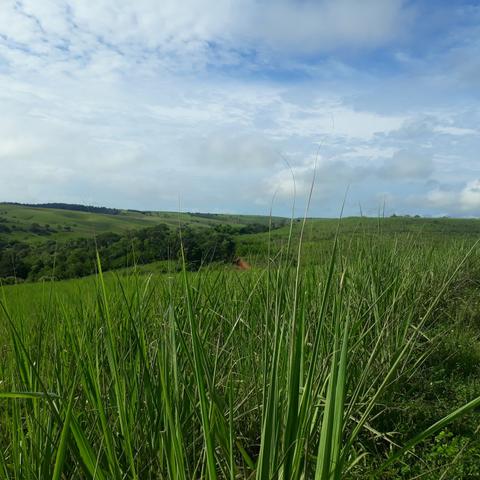 Vendo propriedade 40 km de Maceió