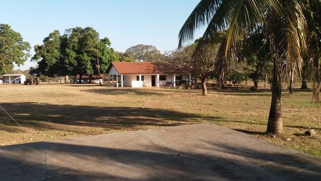 Fazenda 1.200 hectares á 20 km de Cuiabá - Foto 19