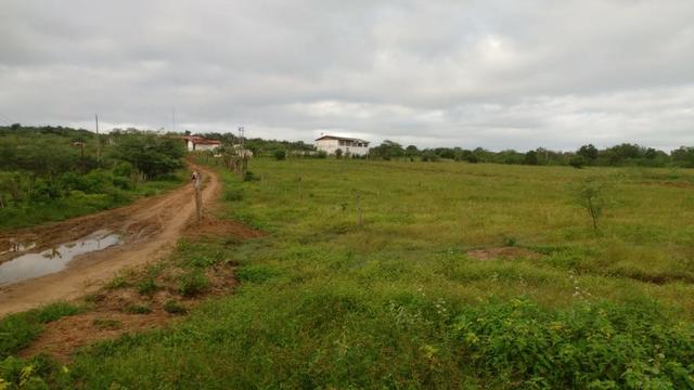 Ótima fazenda pitombeira em vertentes, com 161 hectares - Foto 3
