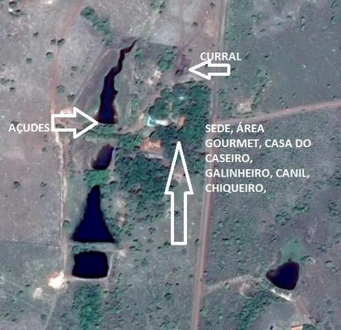 Fazenda 70 hectares á venda á 16km de Cuiabá - Foto 18