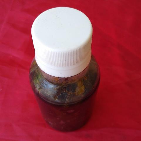 Mudas plantas medicinais - Foto 4
