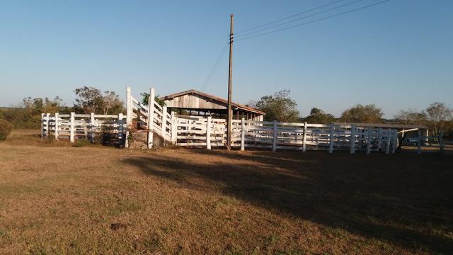 Fazenda 1.200 hectares á 20 km de Cuiabá - Foto 10