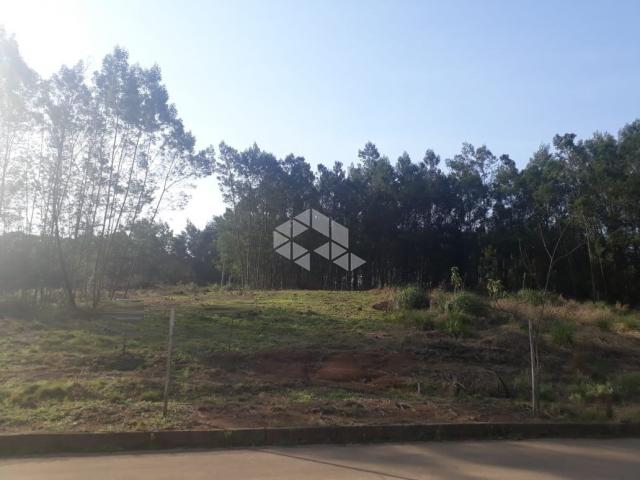 Terreno à venda em Alfândega, Garibaldi cod:9909316 - Foto 4