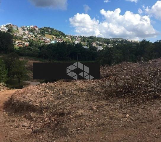 Terreno à venda em Santa helena, Bento gonçalves cod:9903094 - Foto 3