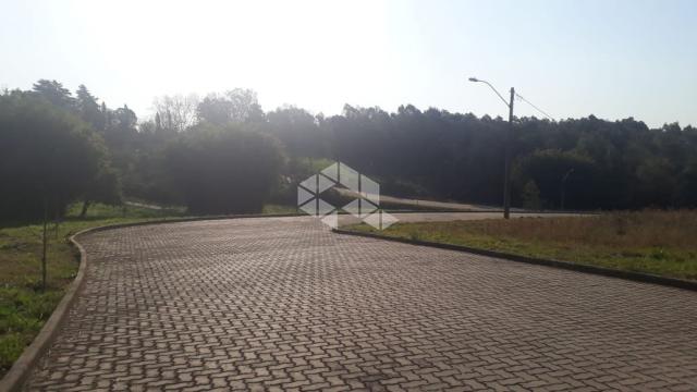 Terreno à venda em Borguetto, Garibaldi cod:9909319 - Foto 10