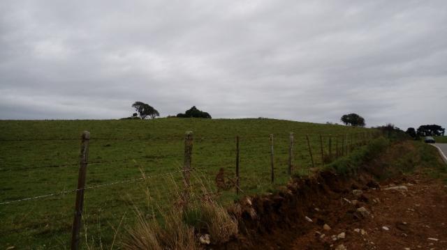 Terreno à venda em Interior, Caxias do sul cod:1849 - Foto 2