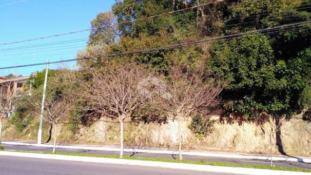 Terreno à venda em São francisco, Garibaldi cod:9908786